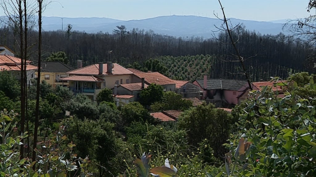 Despovoamento em Pedrogão Grande