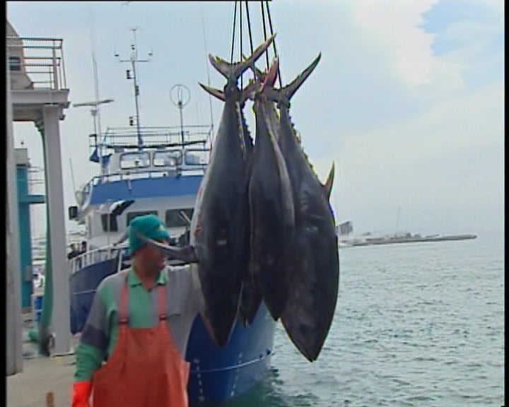 Venda direta de peixe