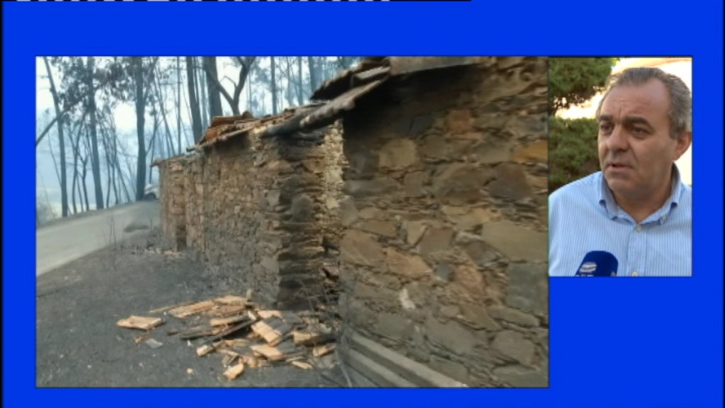 Reações à criação de fundo de apoio às áreas ardidas