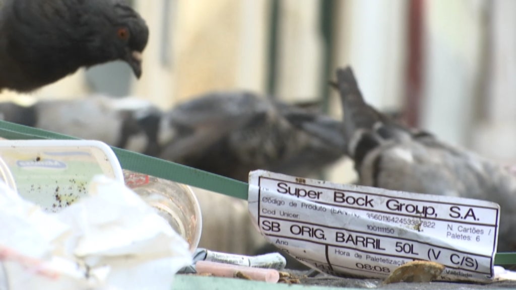 Lixo nas Ruas de Lisboa