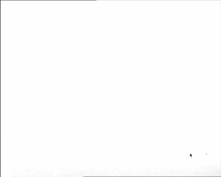 Hóquei em Patins: Marítimo vs Ferroviário de Lourenço Marques