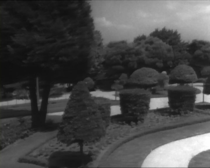 Figueiró dos Vinhos