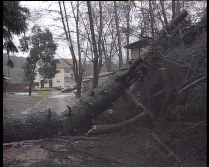 Mau tempo faz estragos em Viseu