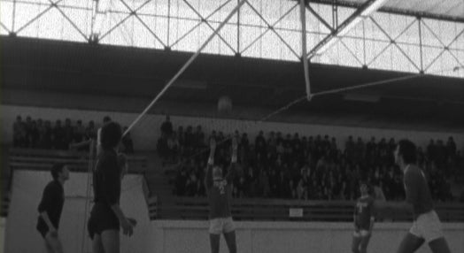 Voleibol: Lisboa vs Coimbra