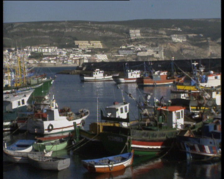 Câmara de Sesimbra decreta luto