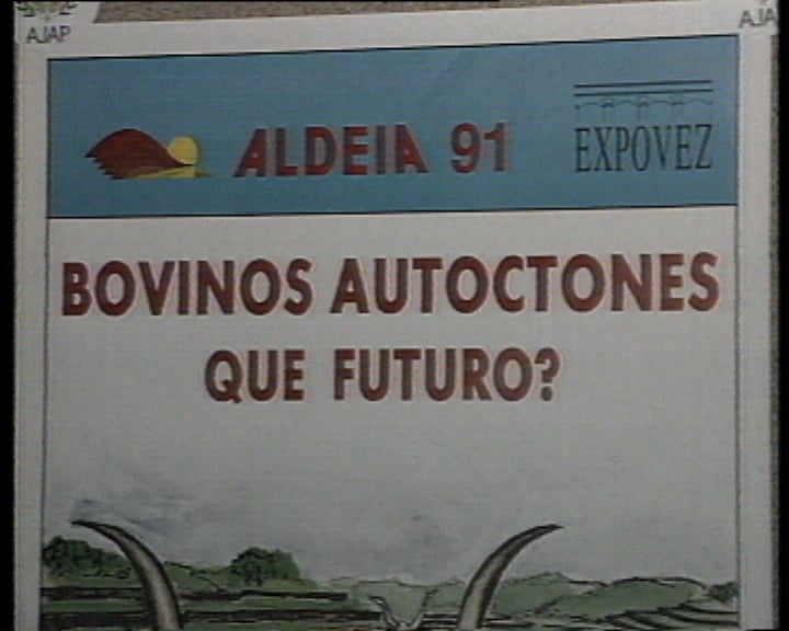 Conferência sobre gado bovino