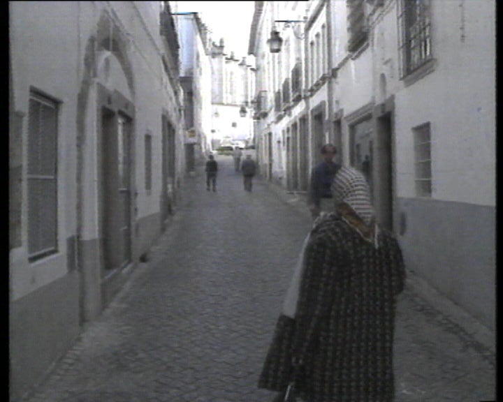 Campanha de defesa do ambiente em Évora