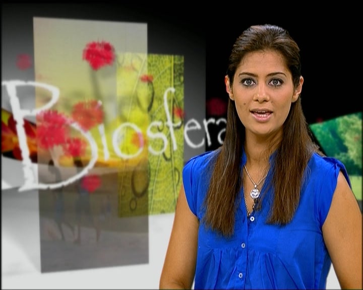 Greenweek: biodiversidade nos oceanos e a pesca