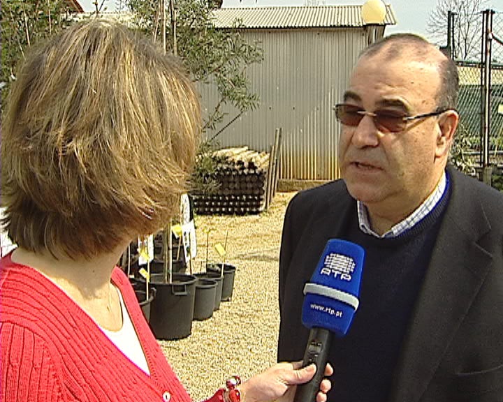Feira das Plantas do Seixal