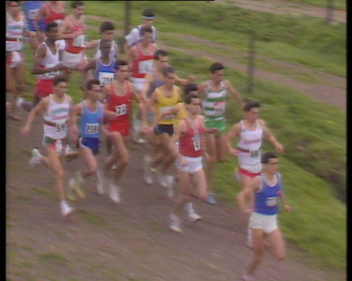 Campeonato regional de Corta-Mato