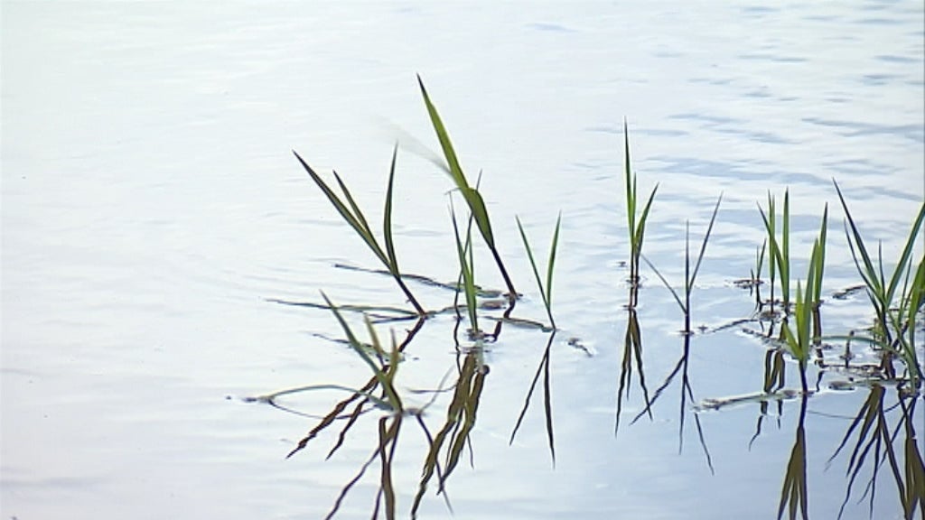 Alterações Climáticas