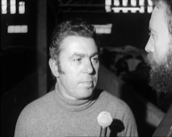 Pecuária no Ribatejo