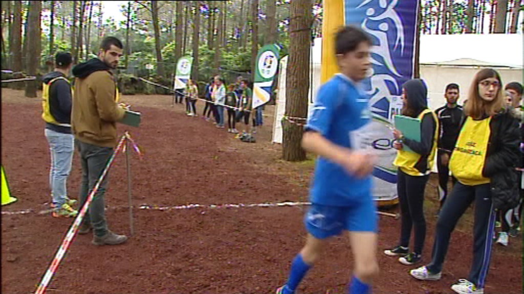 Corta Mato Escolar no Pico