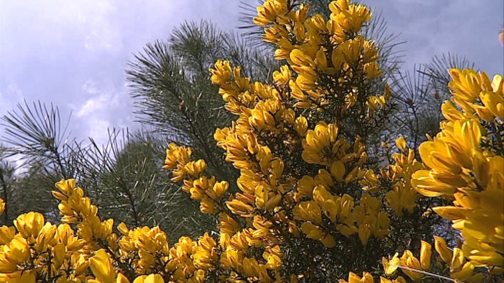 Trilhos de Interpretação Ambiental no Seixal I