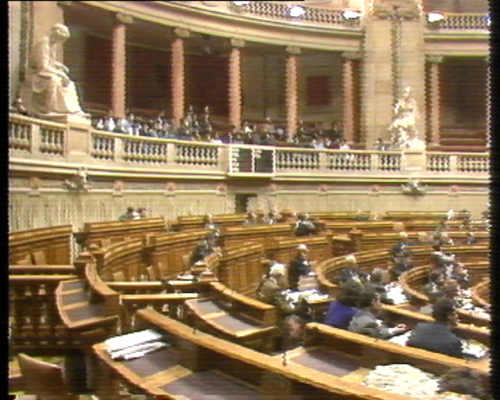 Debate parlamentar sobre a protecção da criança