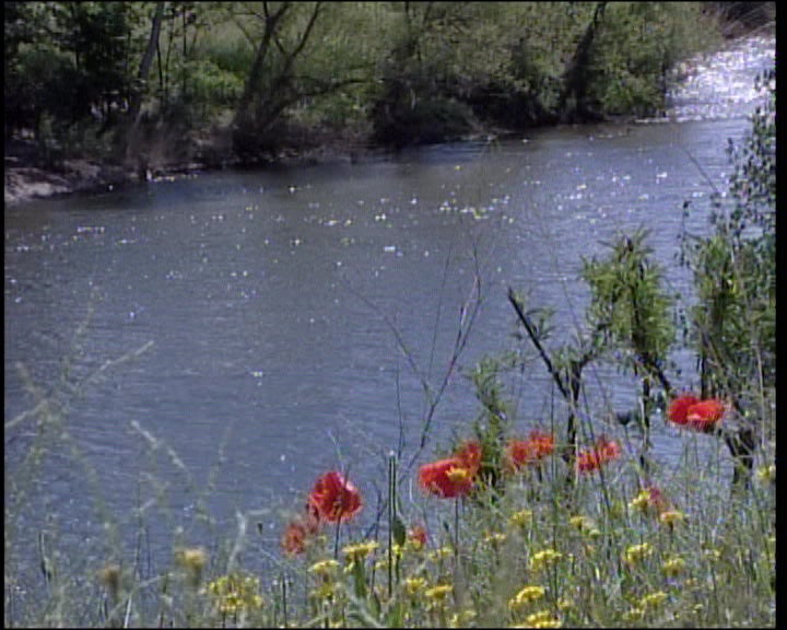 Estudo de Impacto Ambiental