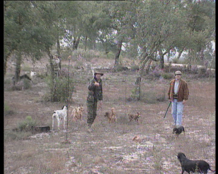 Comissão de Revisão da Lei da Caça