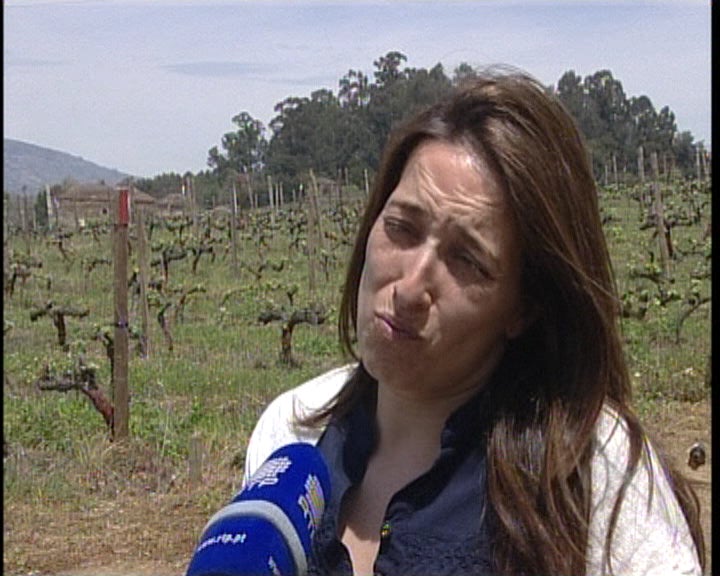 Alterações climáticas no setor da vitivinicultura