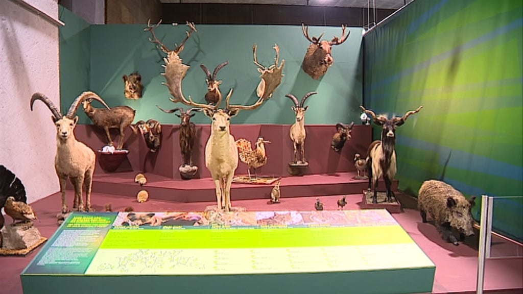 Exposição “Reis da Europa Selvagem”