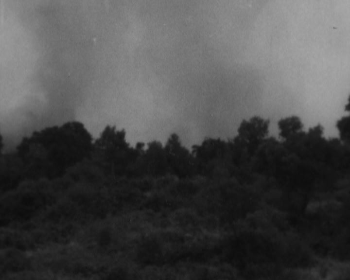 Incêndio na Serra da Amoreira