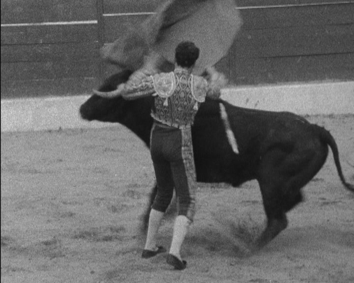 Tourada em Alter do Chão