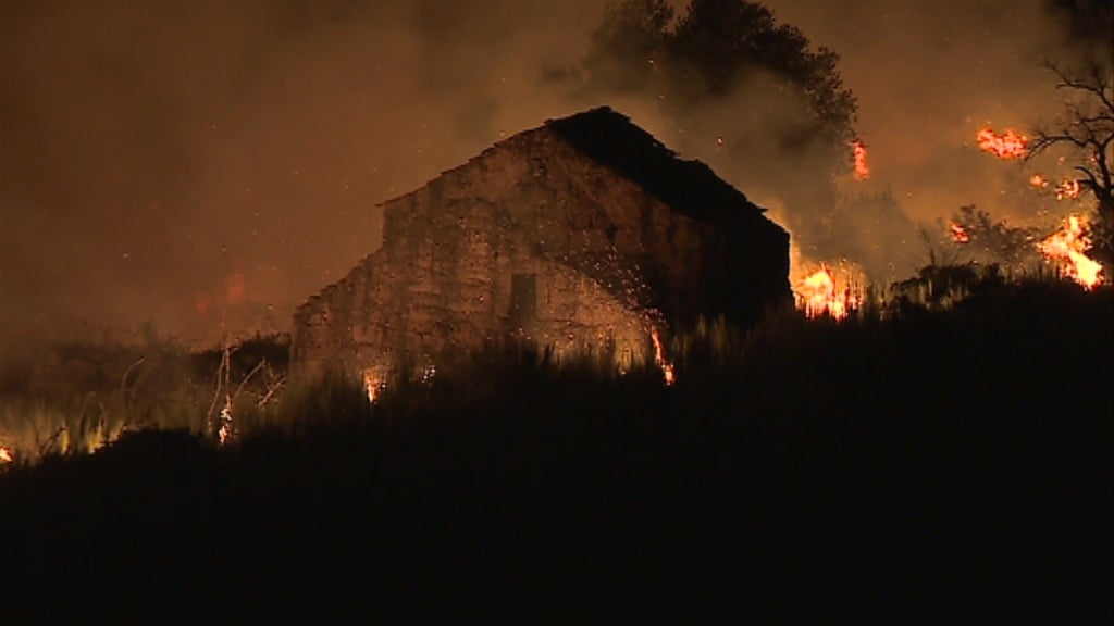 Incêndio florestal em Mangualde