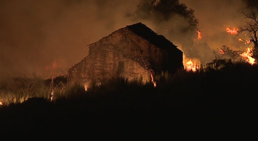 Incêndio florestal em Mangualde