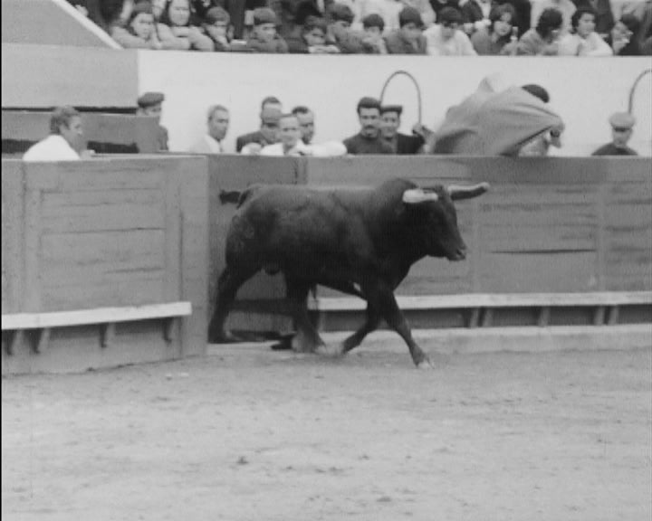 Feira de Agricultura de Santarém