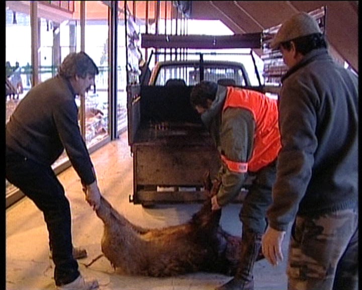 Montaria da RTP na Serra da Gardunha