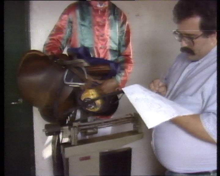 Hipismo na Quinta da Marinha