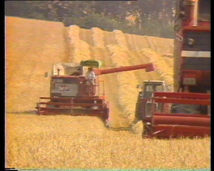 A Agricultura portuguesa e a Europa