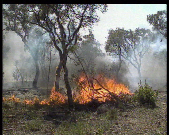 Corte da estrada no IP5