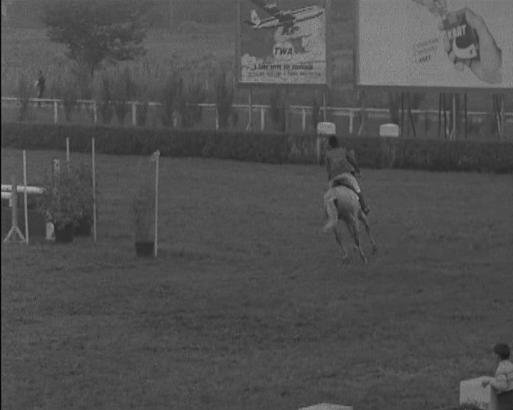 Hipismo: Concurso Nacional de Lisboa