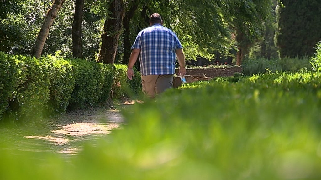 Estudo sobre a Obesidade