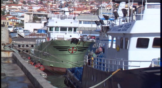 Fundo Europeu de apoio às Pescas