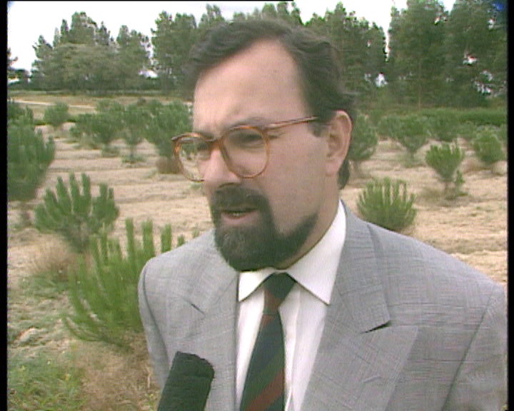 Proteção das florestas