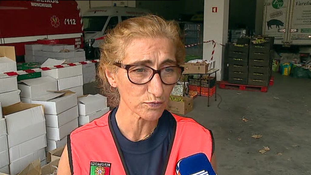 Ação da Proteção Civil no combate ao incêndio de Monchique