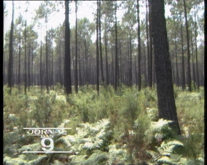 Retrato do distrito de Lisboa