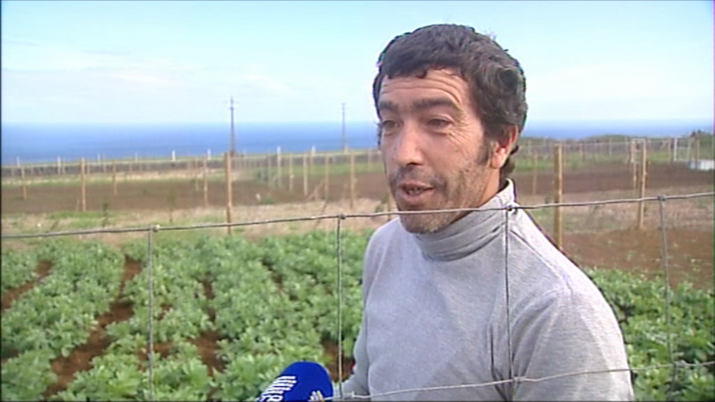 Hortas comunitárias na Ilha Terceira