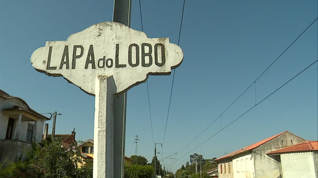 Comboios em Lapa do Lobo