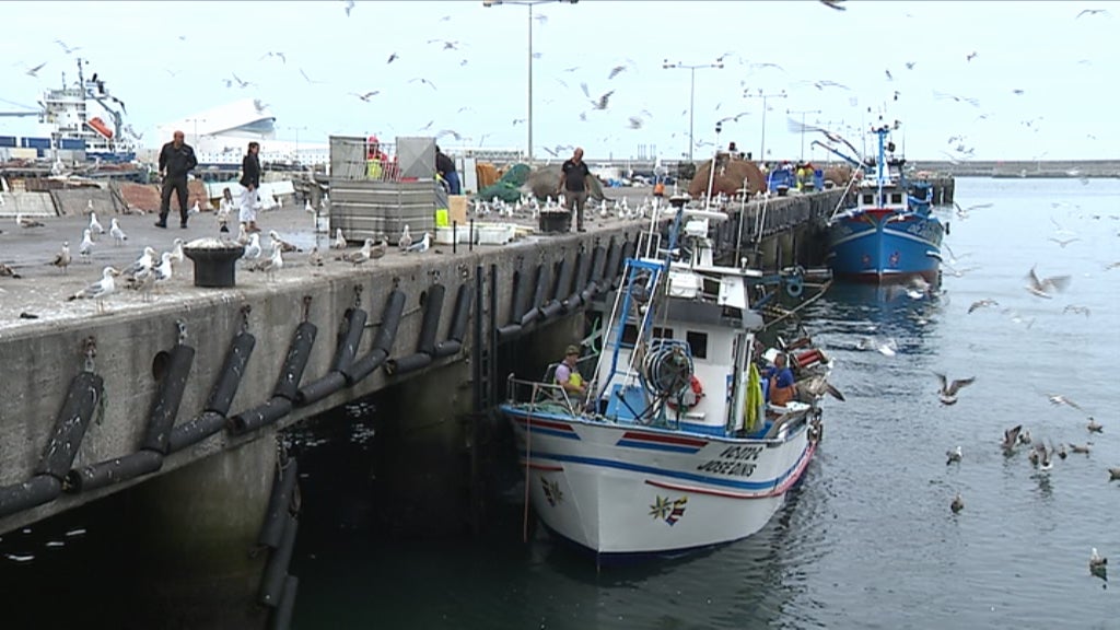 Falta de condições de trabalho nas pescas