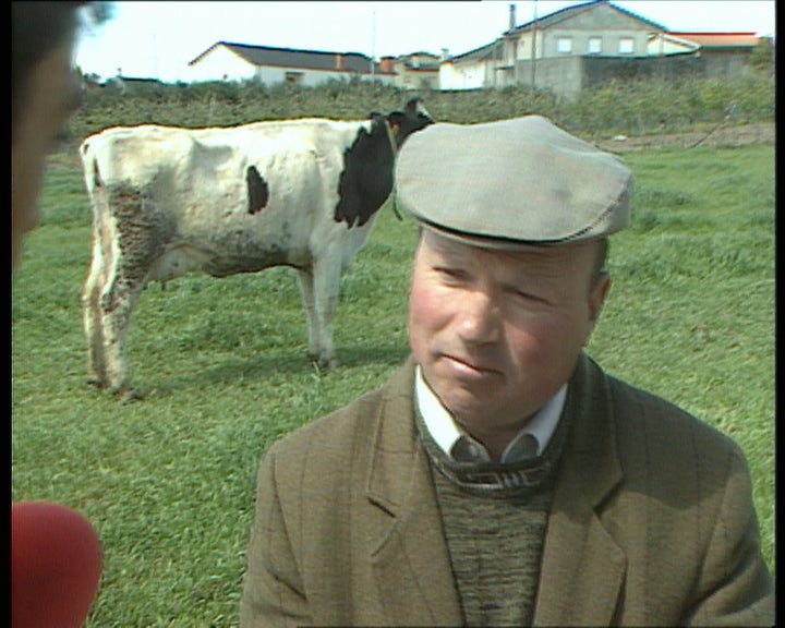 A pecuária em Alvite