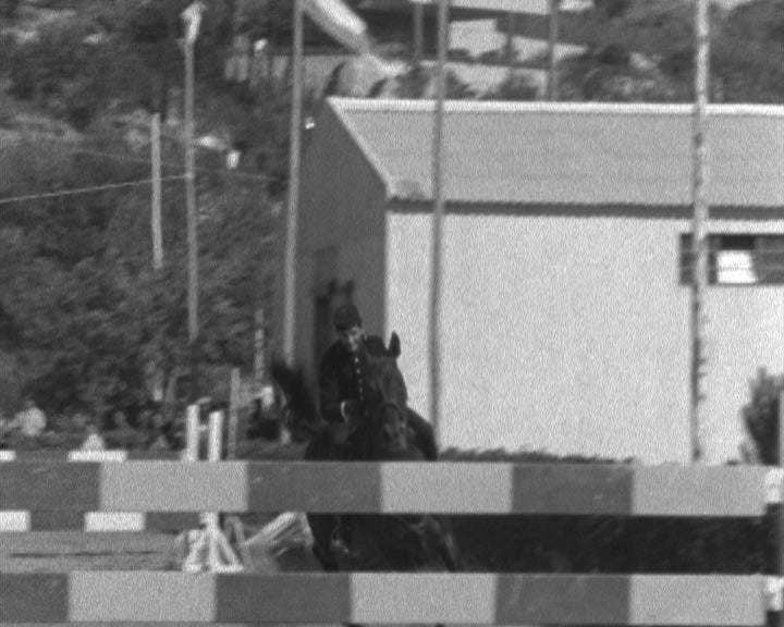 Concurso Hípico em Oeiras