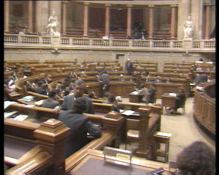 Política Externa na Assembleia da República