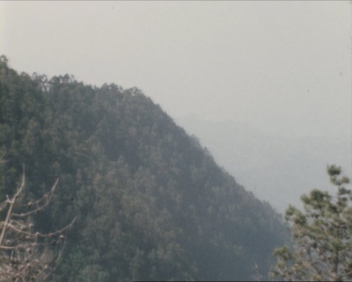 Madeira nos Jogos sem Fronteiras