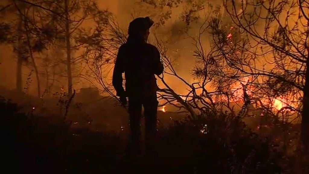 Suspeita de crime no incêndio de Pedrógão Grande