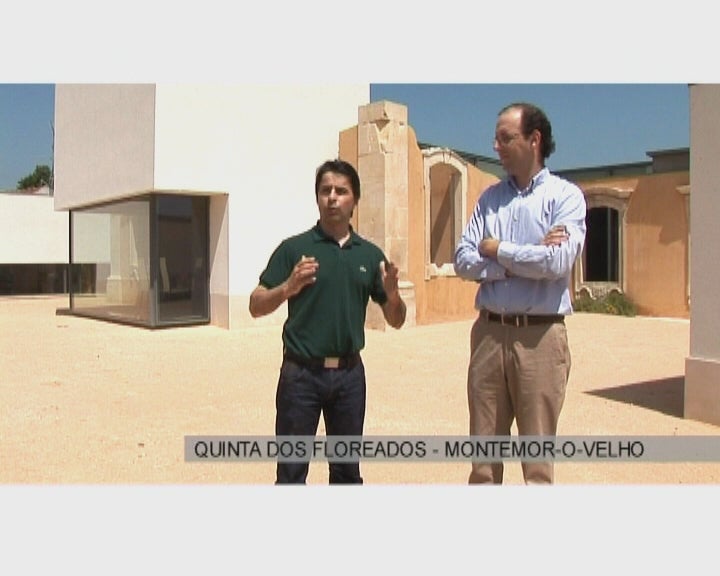arquitectarte