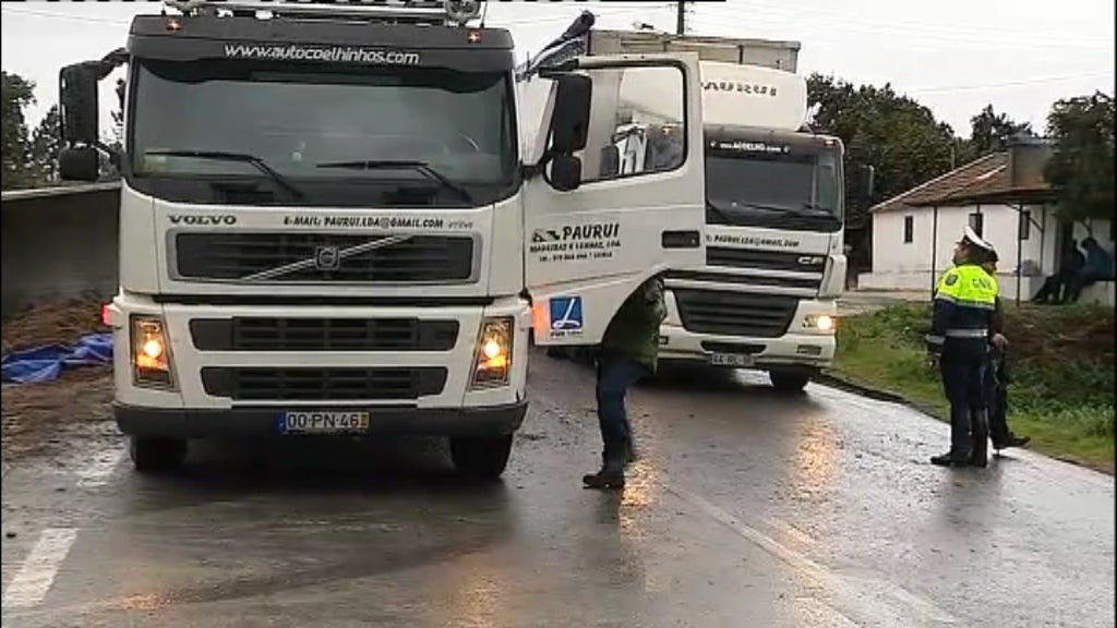 Acidente rodoviário no Ribatejo