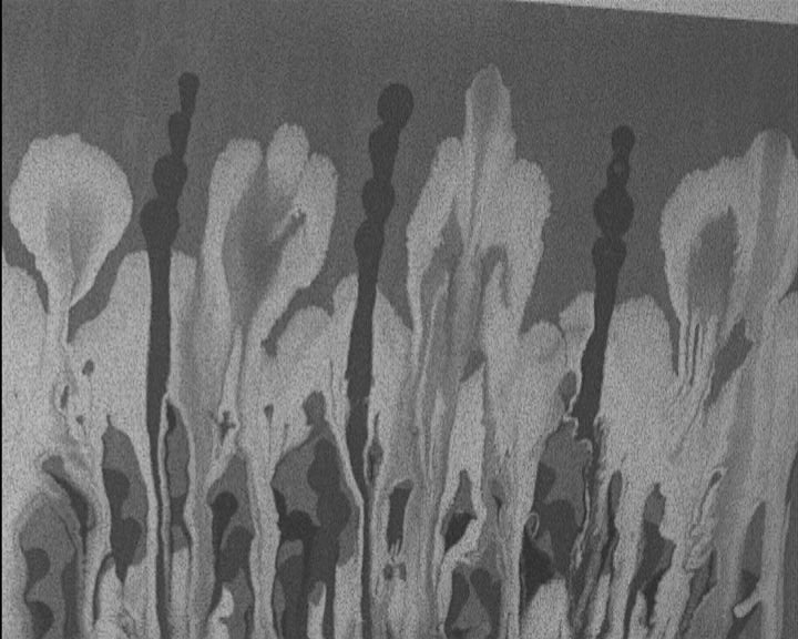 Exposição de pintura de Ezequiel