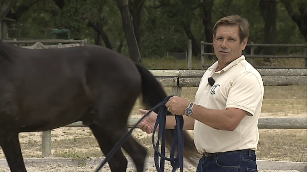 No País dos Campeões: Lezíria Ribatejana